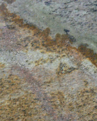 Mont Surfaces Collection Granite Kitchen Countertops